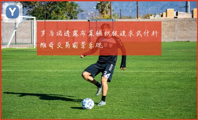 罗马诺透露布莱顿积极追求武什科维奇交易前景乐观