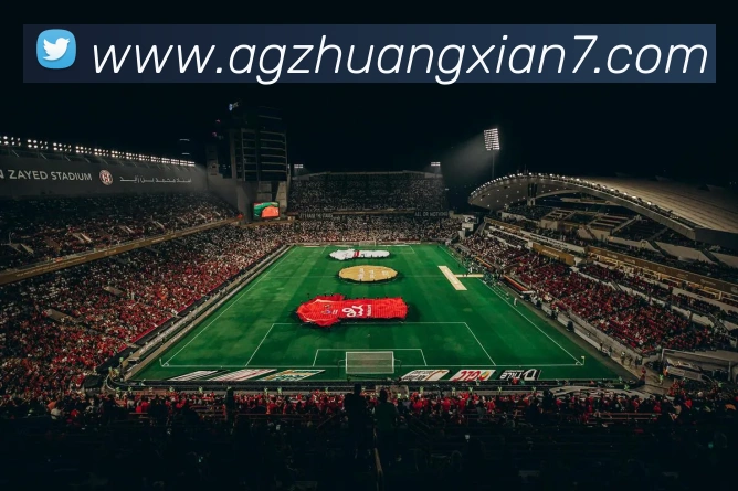 App 展示图